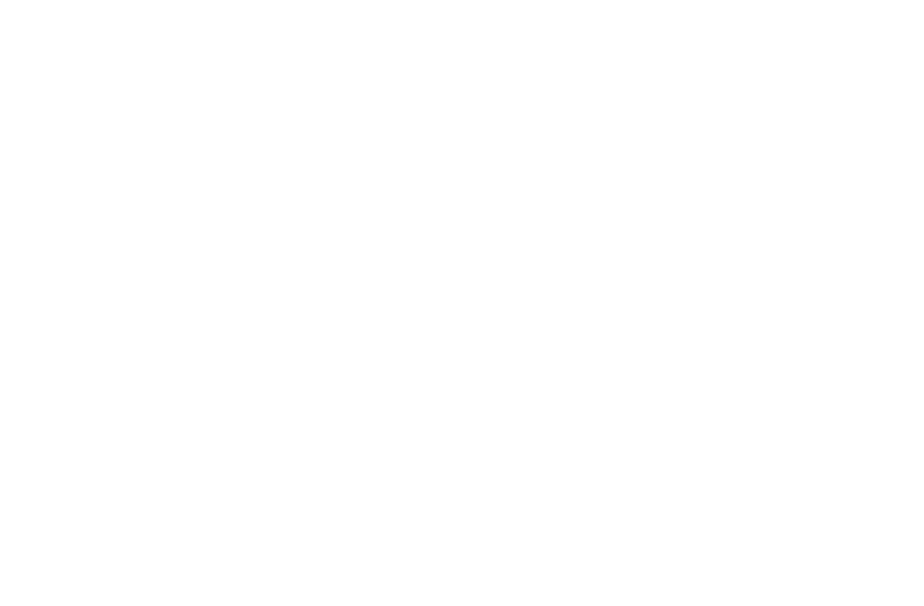 BOVIX logo